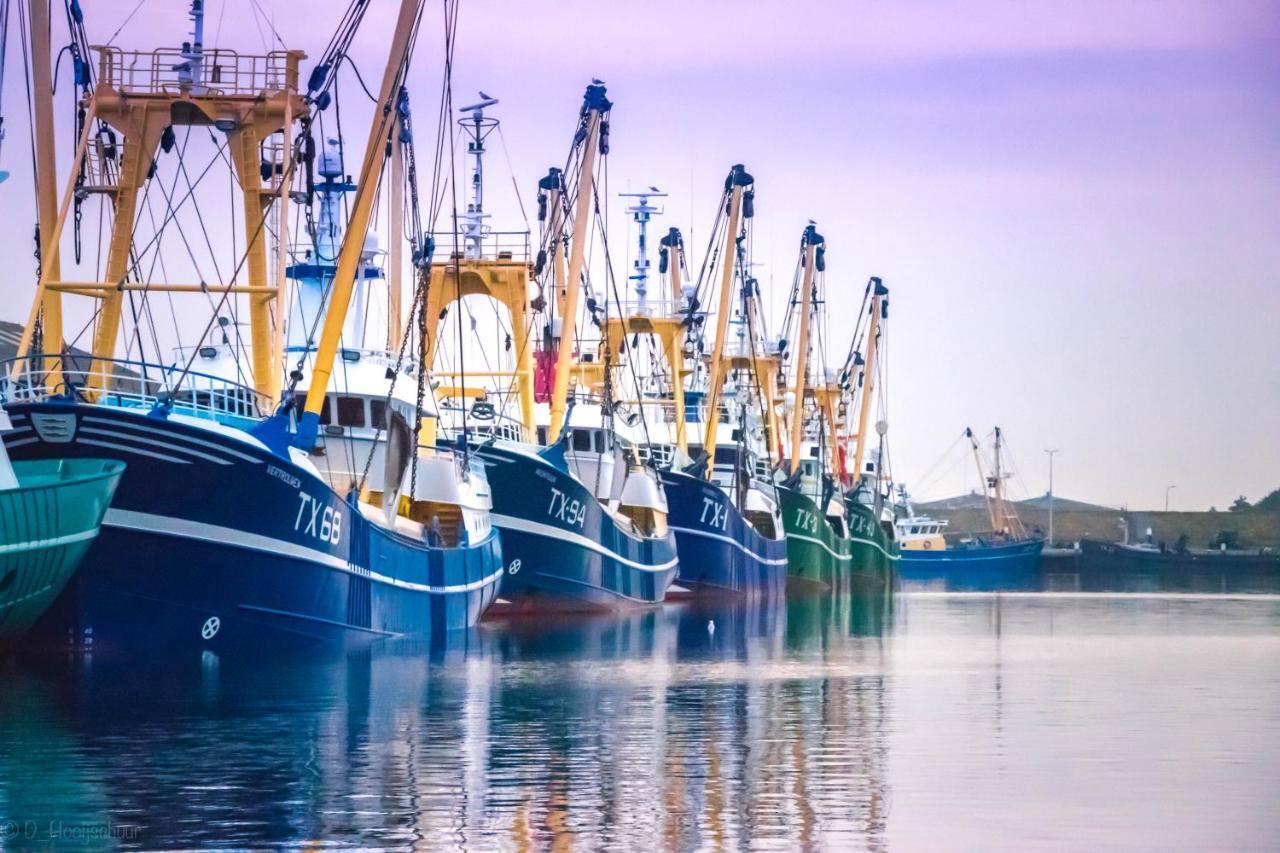 Вилла Bosruiter De Koog - Texel Экстерьер фото